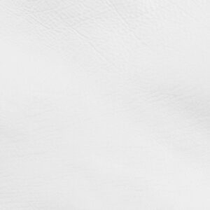 Premium Dry-Milled Aniline Baby Calfskin